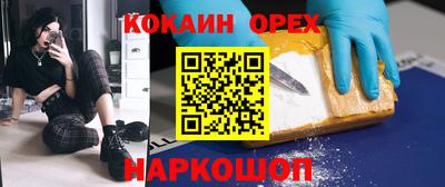 стафф Гатчина