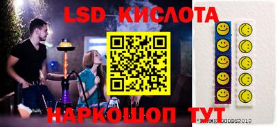 стафф Гатчина