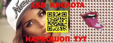 стафф Гатчина