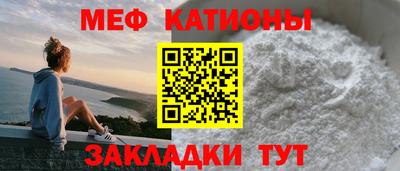 стафф Гатчина