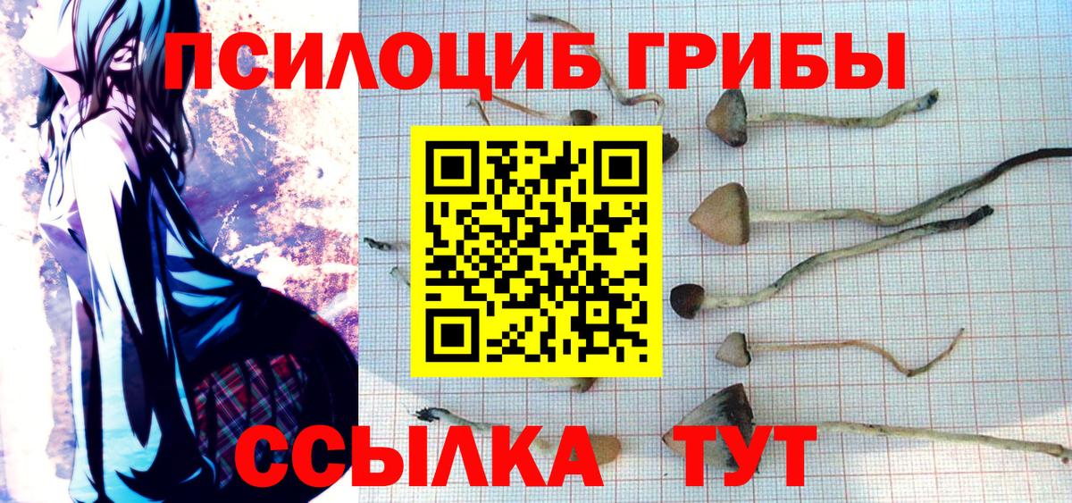 Галлюциногенные грибы MAGIC MUSHROOMS Минусинск