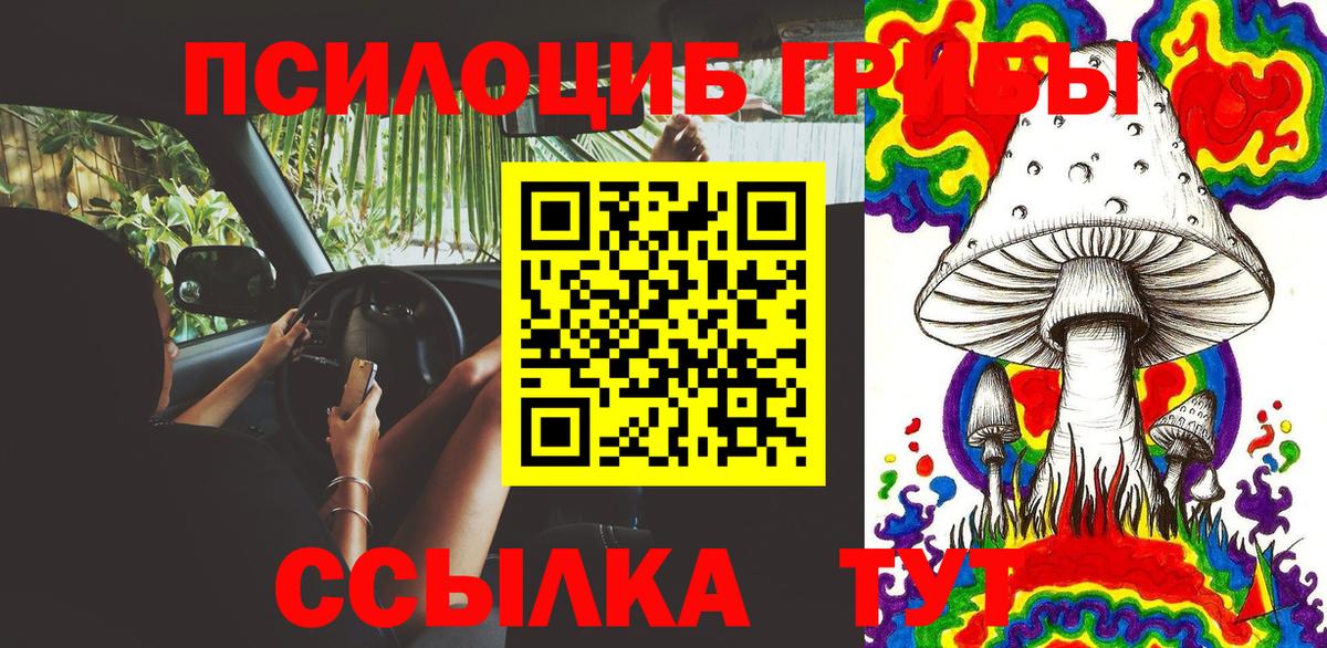 Псилоцибиновые грибы Psilocybine cubensis  Псилоцибиновые грибы Cubensis  Минусинск  Вход с VPN 